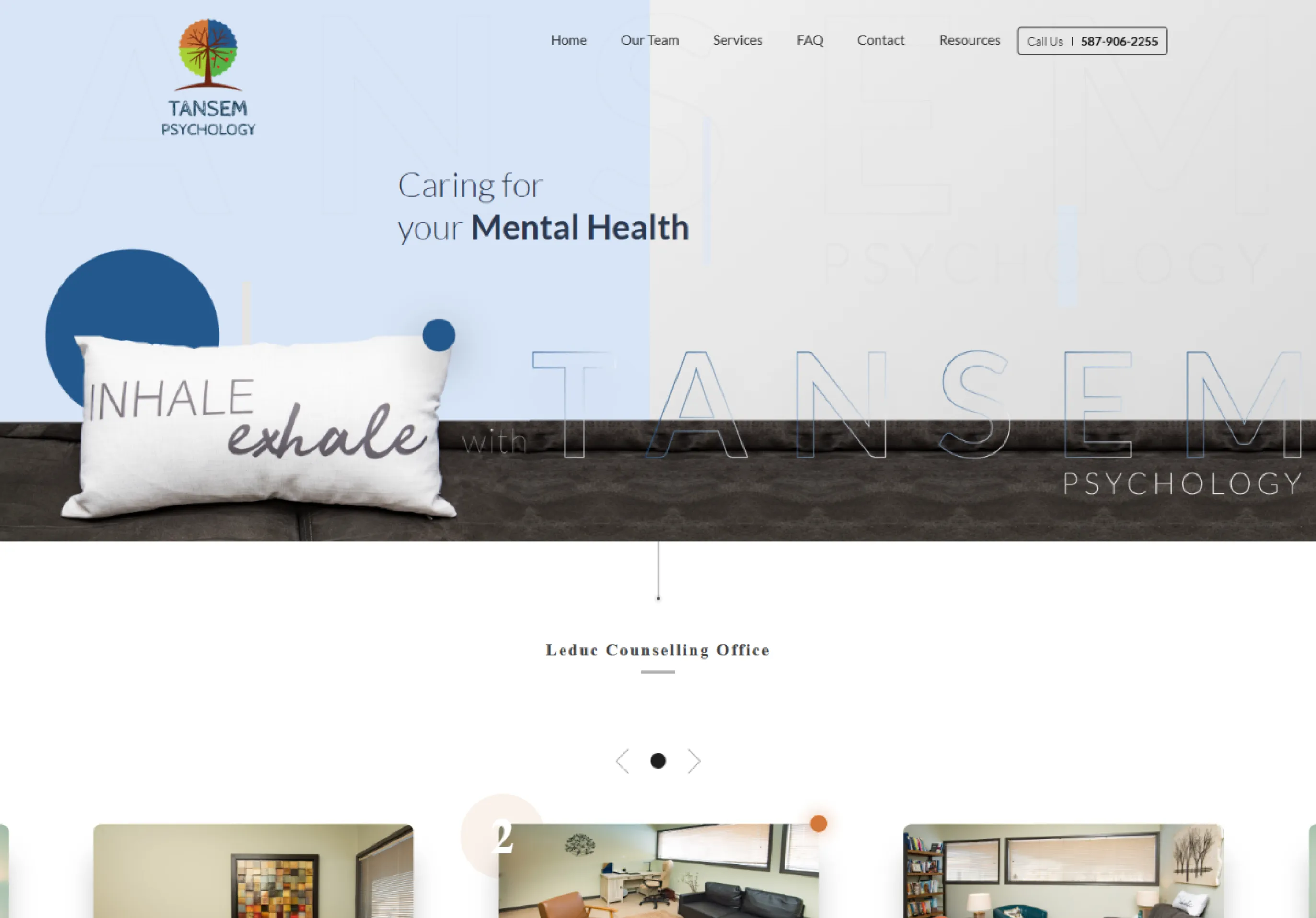 Tansem Psychology preview